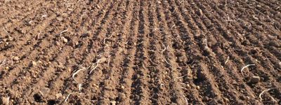 New stubble cultivator Chisel Ploughing back soil preparation